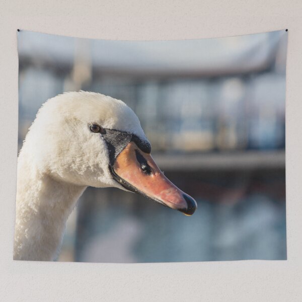 Item preview, Close up portrait of great white swan designed and sold by brambillasimone.
