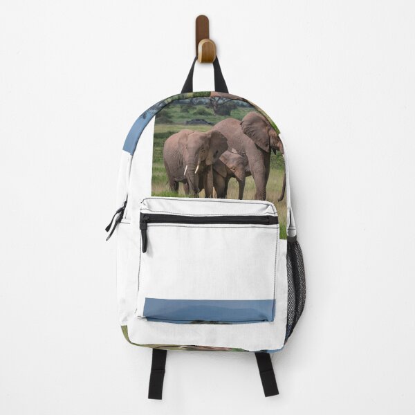 Item preview, Amboseli National Park designed and sold by Brendan Buckley.