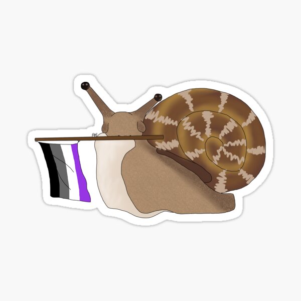 "Asexual Pride snail sticker" Sticker by raevi10 Redbubble