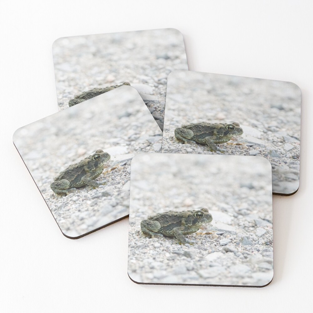 Item preview, Coasters (Set of 4) designed and sold by rodmacpherson.