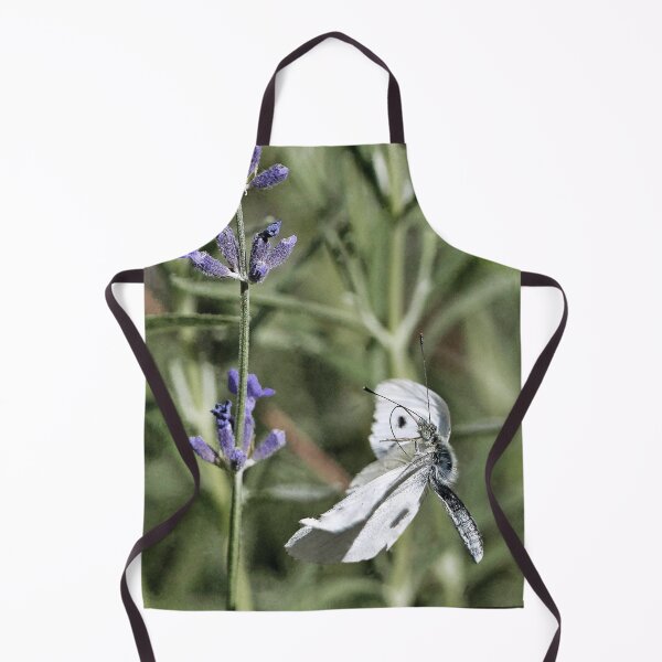Item preview, La Vie - The Life  Papillons - Butterfly  5 (h)  Okaio Création  Panasonic fz 1000   510.000 photos 2016 designed and sold by o.okaïo.