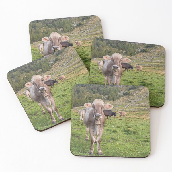 Item preview, Cows grazing on an Italian pasture designed and sold by brambillasimone.