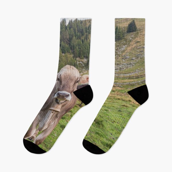 Item preview, Cows grazing on an Italian pasture designed and sold by brambillasimone.