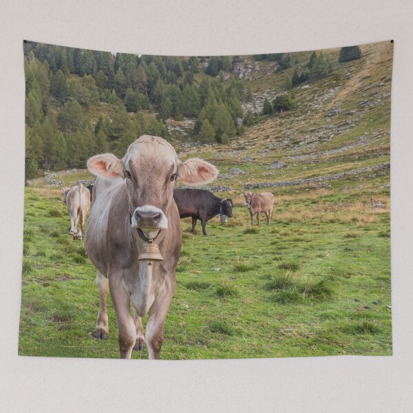 Item preview, Cows grazing on an Italian pasture designed and sold by brambillasimone.