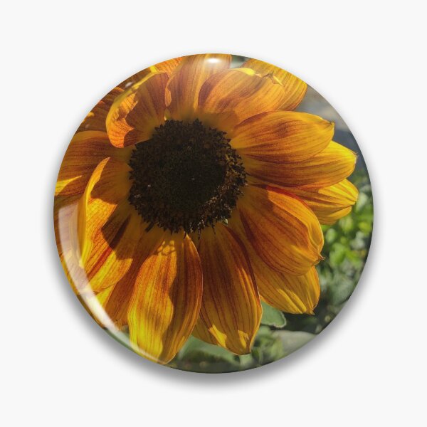 Item preview, Sunflower in Summer designed and sold by TLukeJackson.