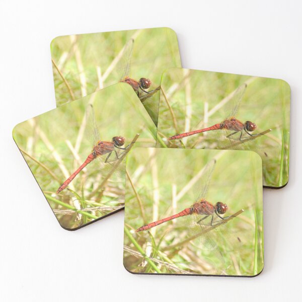 Item preview, Ruddy Darter - Dragonfly designed and sold by MikeSandersonPix Ltd.