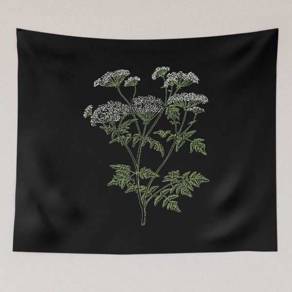 Item preview, Poison Hemlock (2) designed and sold by DotorEaon.