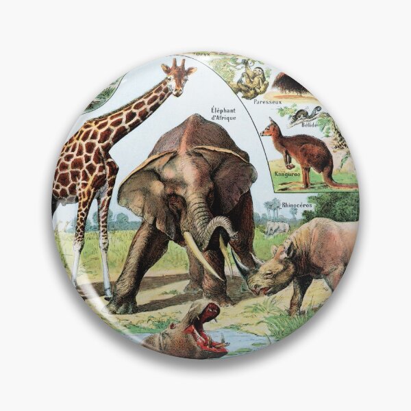 Item preview, Adolphe Millot - Mammiferes A - Vintage french zoology illustration designed and sold by Gardenlibrary.