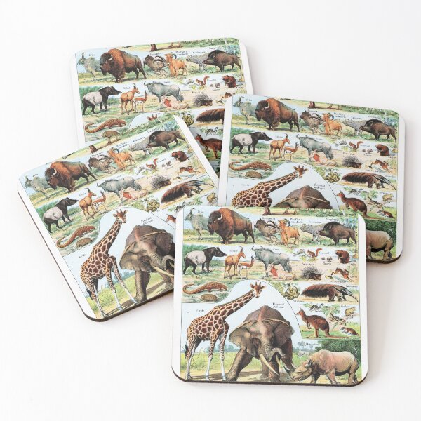 Item preview, Adolphe Millot - Mammiferes A - Vintage french zoology illustration designed and sold by Gardenlibrary.