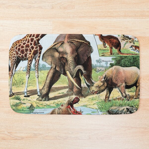 Item preview, Adolphe Millot - Mammiferes A - Vintage french zoology illustration designed and sold by Gardenlibrary.