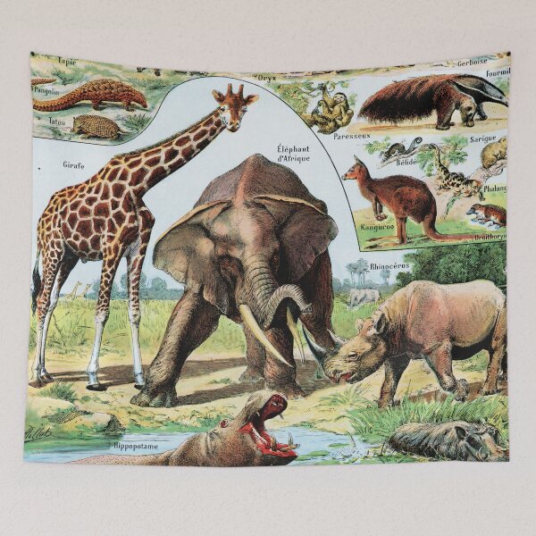Item preview, Adolphe Millot - Mammiferes A - Vintage french zoology illustration designed and sold by Gardenlibrary.