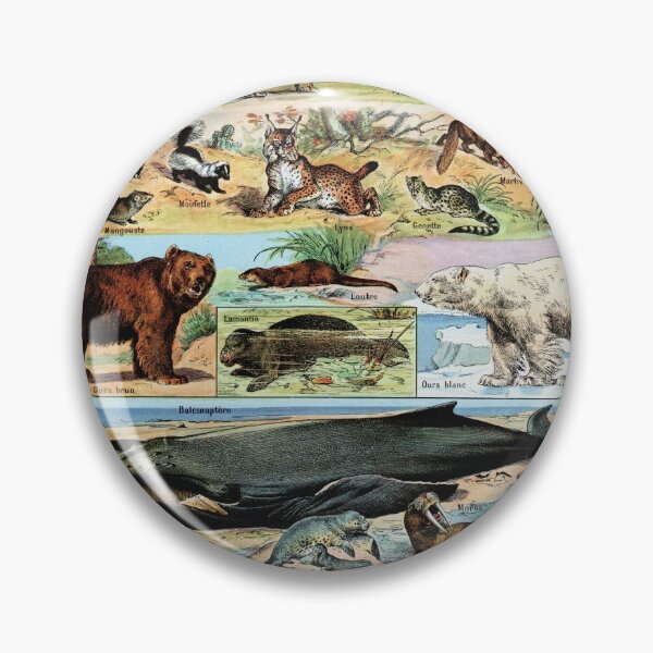 Item preview, Adolphe Millot - Mammiferes B - Vintage french zoology illustration designed and sold by Gardenlibrary.
