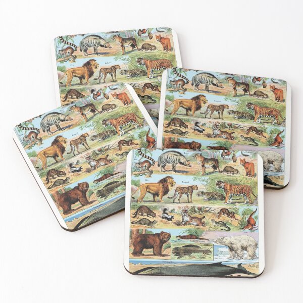 Item preview, Adolphe Millot - Mammiferes B - Vintage french zoology illustration designed and sold by Gardenlibrary.