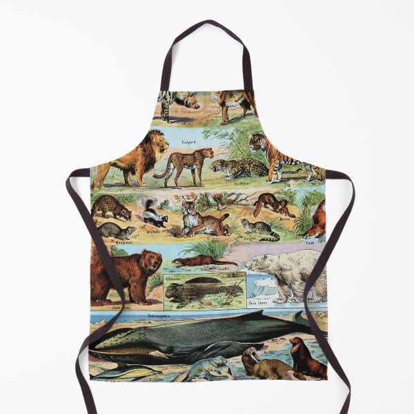 Item preview, Adolphe Millot - Mammiferes B - Vintage french zoology illustration designed and sold by Gardenlibrary.