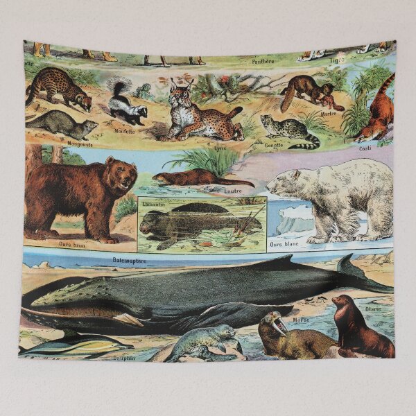 Item preview, Adolphe Millot - Mammiferes B - Vintage french zoology illustration designed and sold by Gardenlibrary.