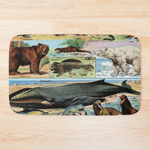 Item preview, Adolphe Millot - Mammiferes B - Vintage french zoology illustration designed and sold by Gardenlibrary.