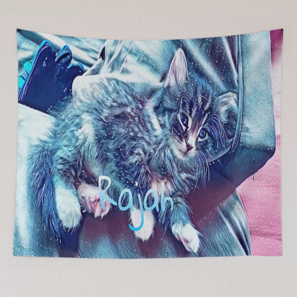 Item preview, Rajah Galaxy  designed and sold by Baylee Xiong.