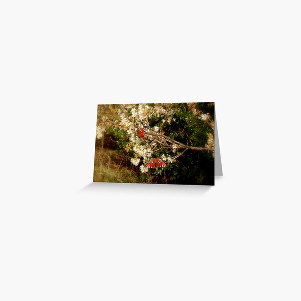 Natures Beauty Greeting Card