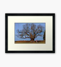 Childs Playground Framed Print