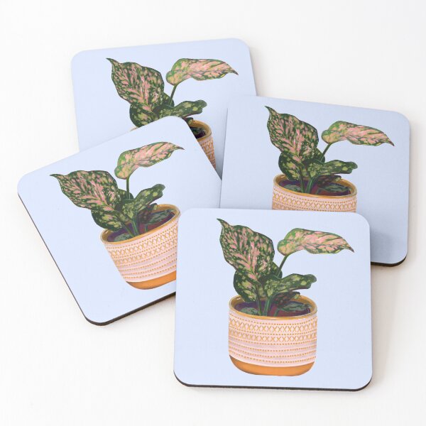 Item preview, Aglaonema Cutie designed and sold by ejcreative.