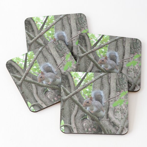Item preview, Grey squirrel (Sciurus carolinensis) designed and sold by joshuarainbird.