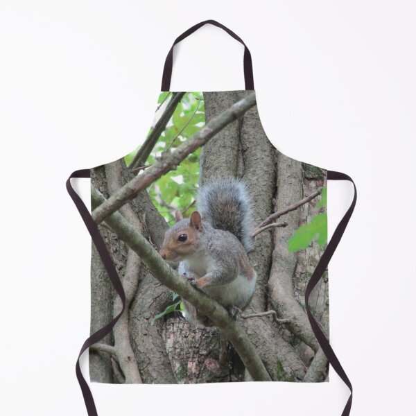 Item preview, Grey squirrel (Sciurus carolinensis) designed and sold by joshuarainbird.