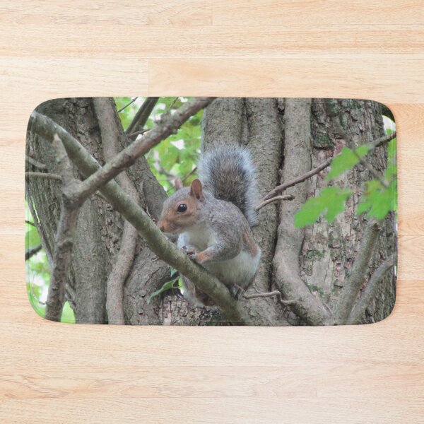 Item preview, Grey squirrel (Sciurus carolinensis) designed and sold by joshuarainbird.