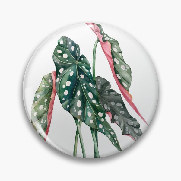 Item preview, Begonia maculata watercolor designed and sold by Luli Reis.