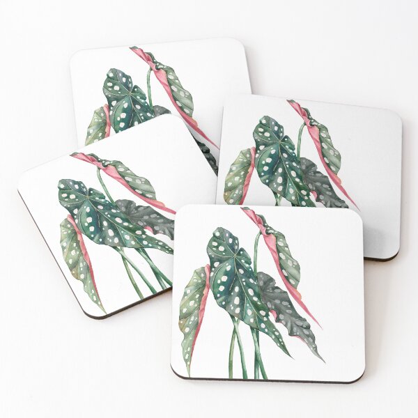 Item preview, Begonia maculata watercolor designed and sold by Luli Reis.