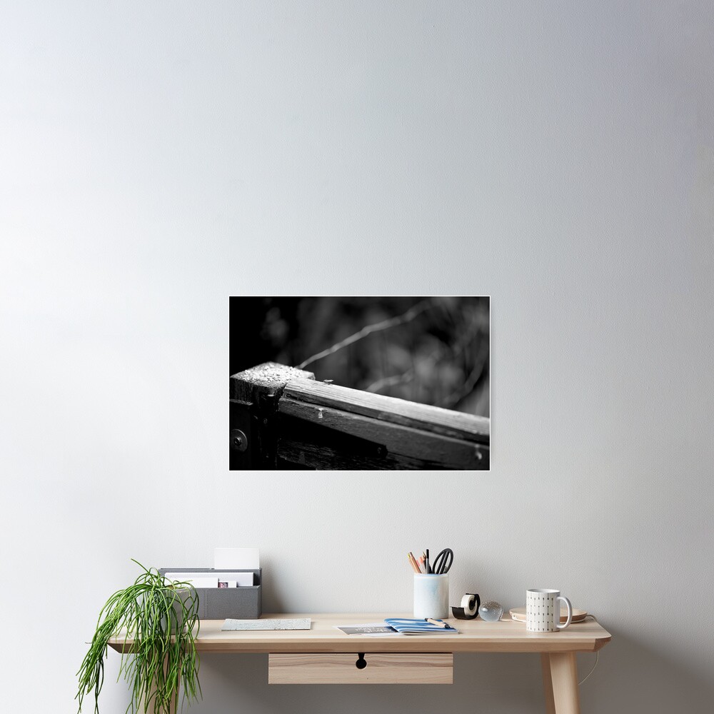 Vista previa del artículo con la obra «Póster», diseñado y vendido por DoodleBugImages.