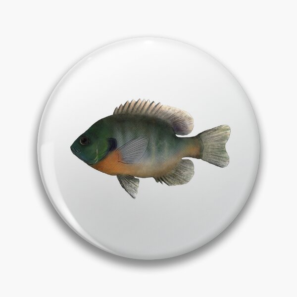 Item preview, Bluegill designed and sold by GreenMountainT.