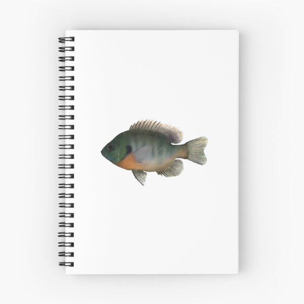Item preview, Bluegill designed and sold by GreenMountainT.