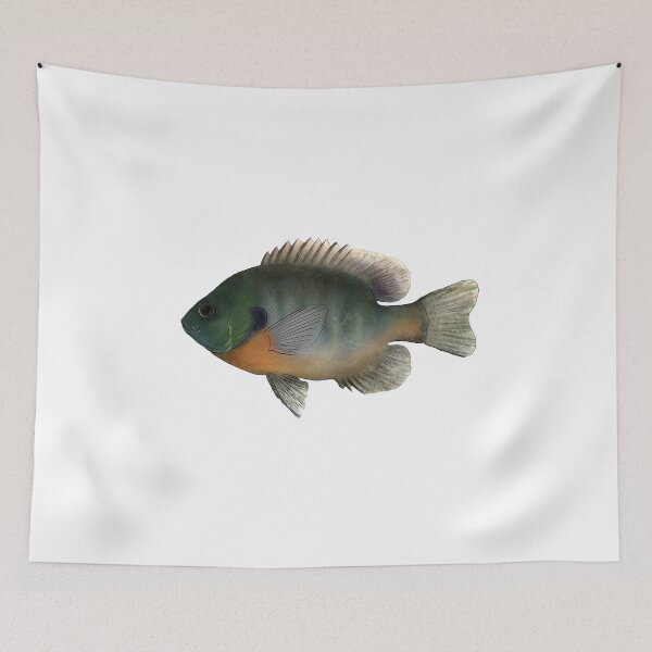 Item preview, Bluegill designed and sold by GreenMountainT.