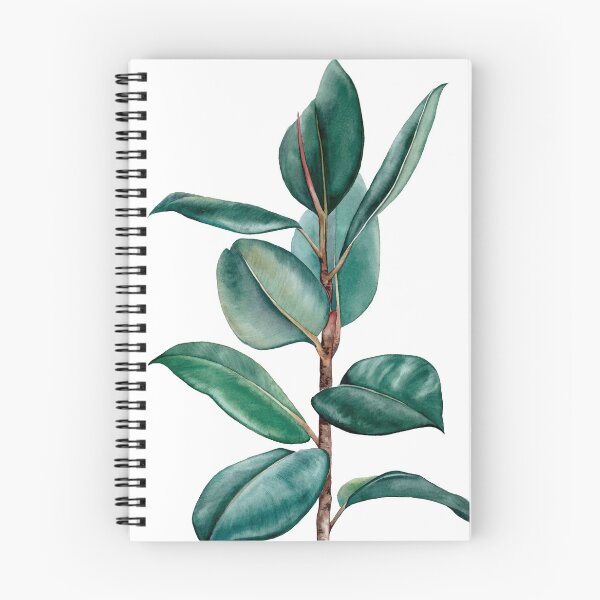 Item preview, Ficus elastica watercolor designed and sold by Luli Reis.
