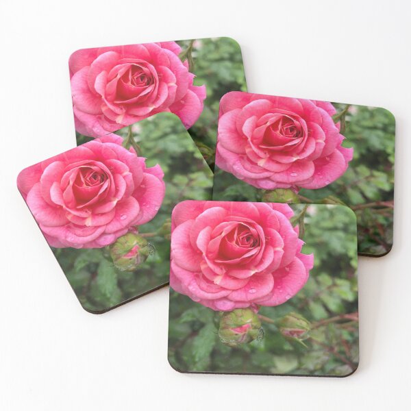 Item preview, Vibrant Pink Rose  designed and sold by TLukeJackson.