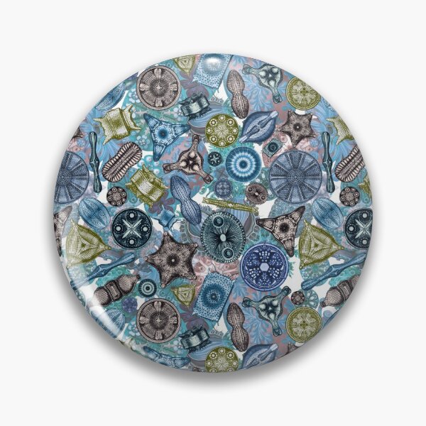 Aperçu de l'œuvre  Ernst Haeckel Des diatomées aux tons froids jetés sur des giclées de mer créée et vendue par aimeewilson.