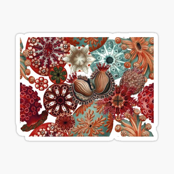 Item preview, Ernst Haeckel Sea Squirts Tossed Fall Toned Reds designed and sold by aimeewilson.