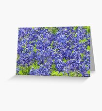 Many Blue Lights - View Larger Greeting Card