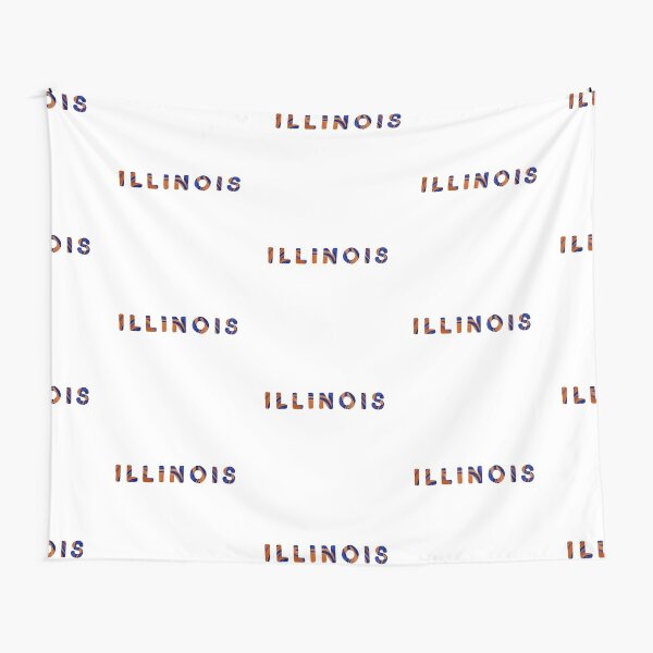 Orange and Blue State of Illinois Letters Tapestry