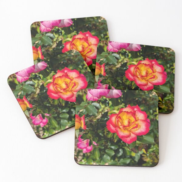 Artikelvorschau, Chinesische Rosenblüte entworfen und verkauft von Nathan Pipkorn.