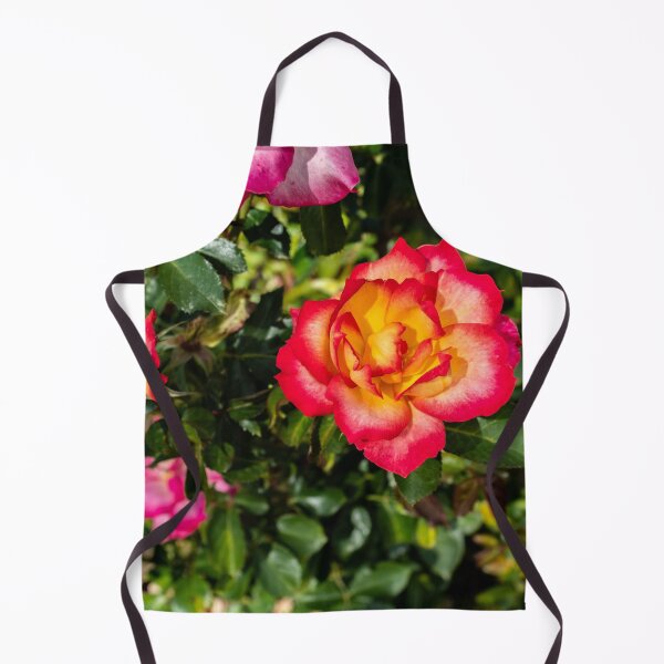 Artikelvorschau, Chinesische Rosenblüte entworfen und verkauft von Nathan Pipkorn.