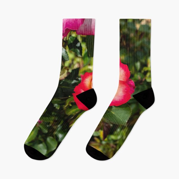 Artikelvorschau, Chinesische Rosenblüte entworfen und verkauft von Nathan Pipkorn.
