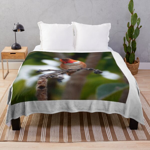 Item preview, Rufous Hummingbird designed and sold by Banjoboy Art.