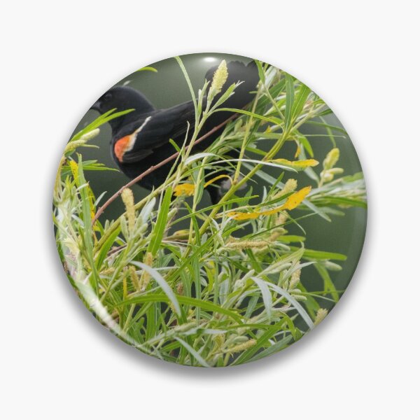 Item preview, Red winged black bird designed and sold by CanadianWild418.