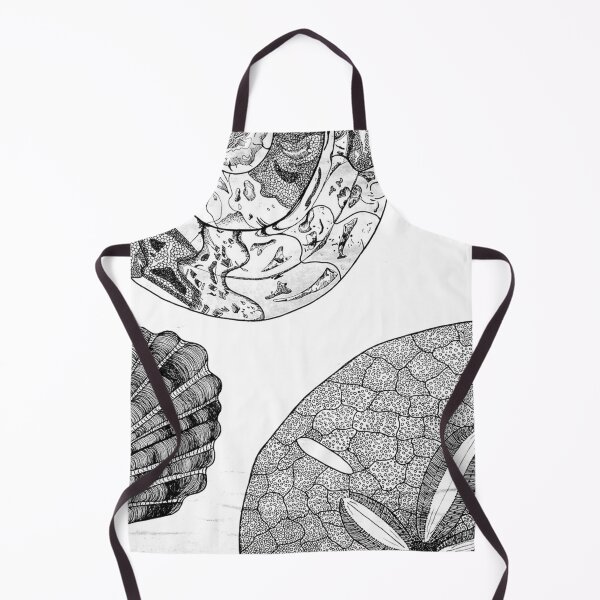 Item preview, Shells designed and sold by frwl.