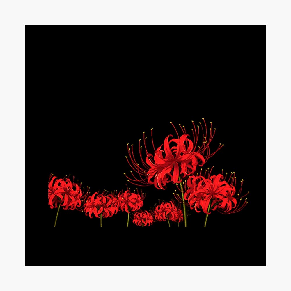 Red Spider Lily png images | PNGEgg
