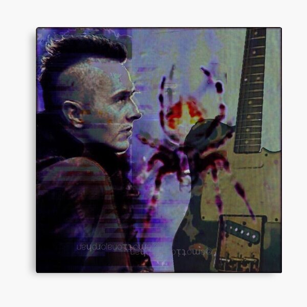 Spider and Joe Canvas Print