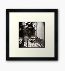 { Eeyore } Framed Print