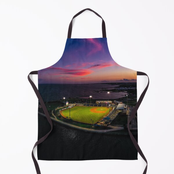 Item preview, Wahoos Stadium designed and sold by pensacolavibes.