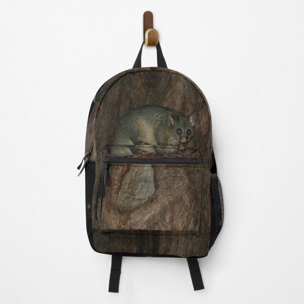Item preview, Night Possum, Hyde Park, Sydney, Australia 2005 designed and sold by muz2142.
